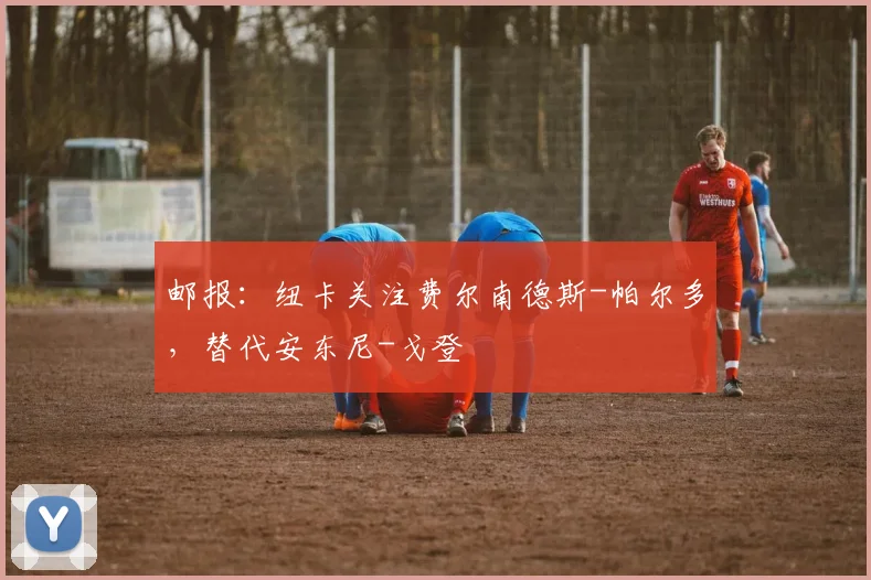 邮报：纽卡关注费尔南德斯-帕尔多，替代安东尼-戈登